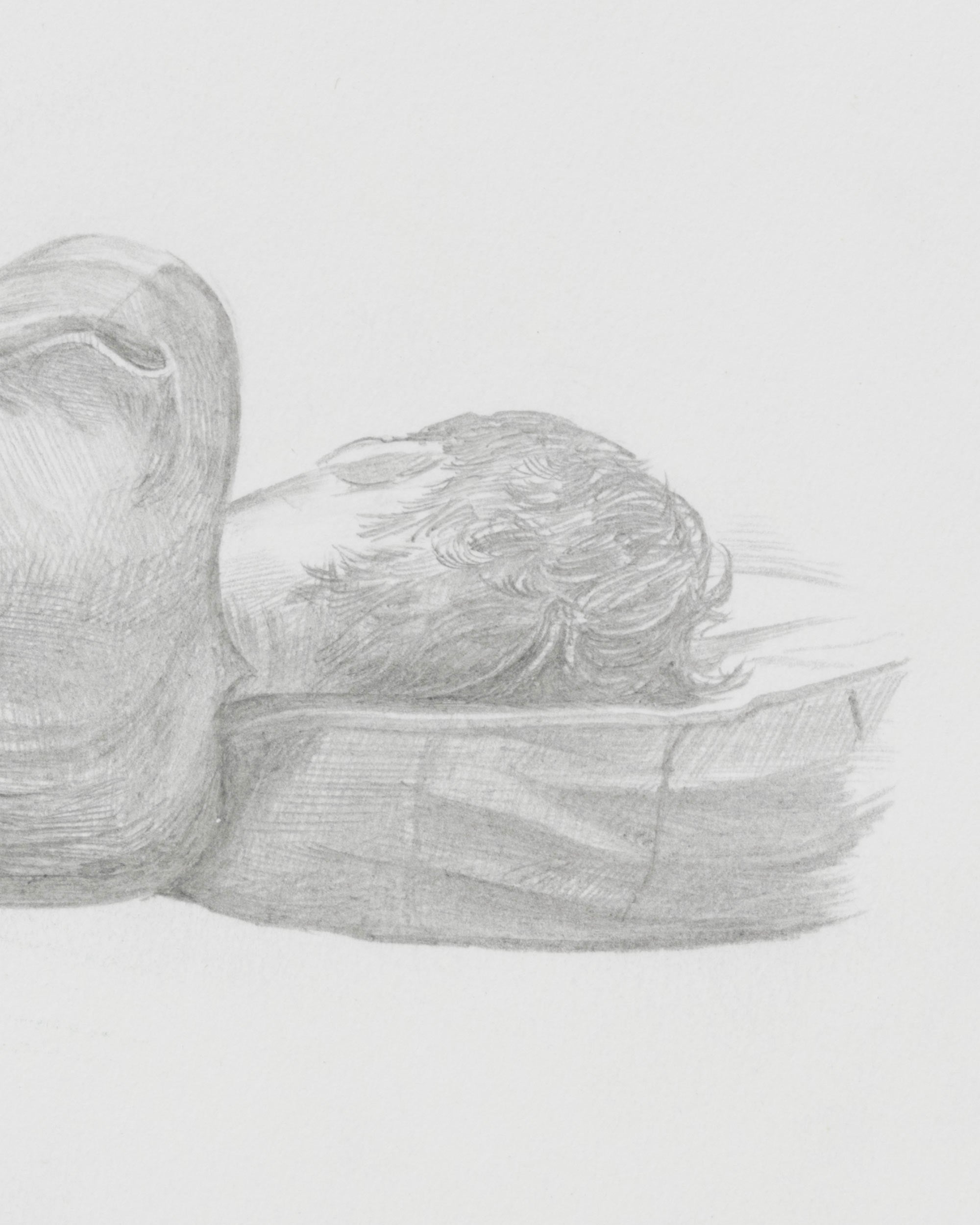 Study for Goodnight Moon