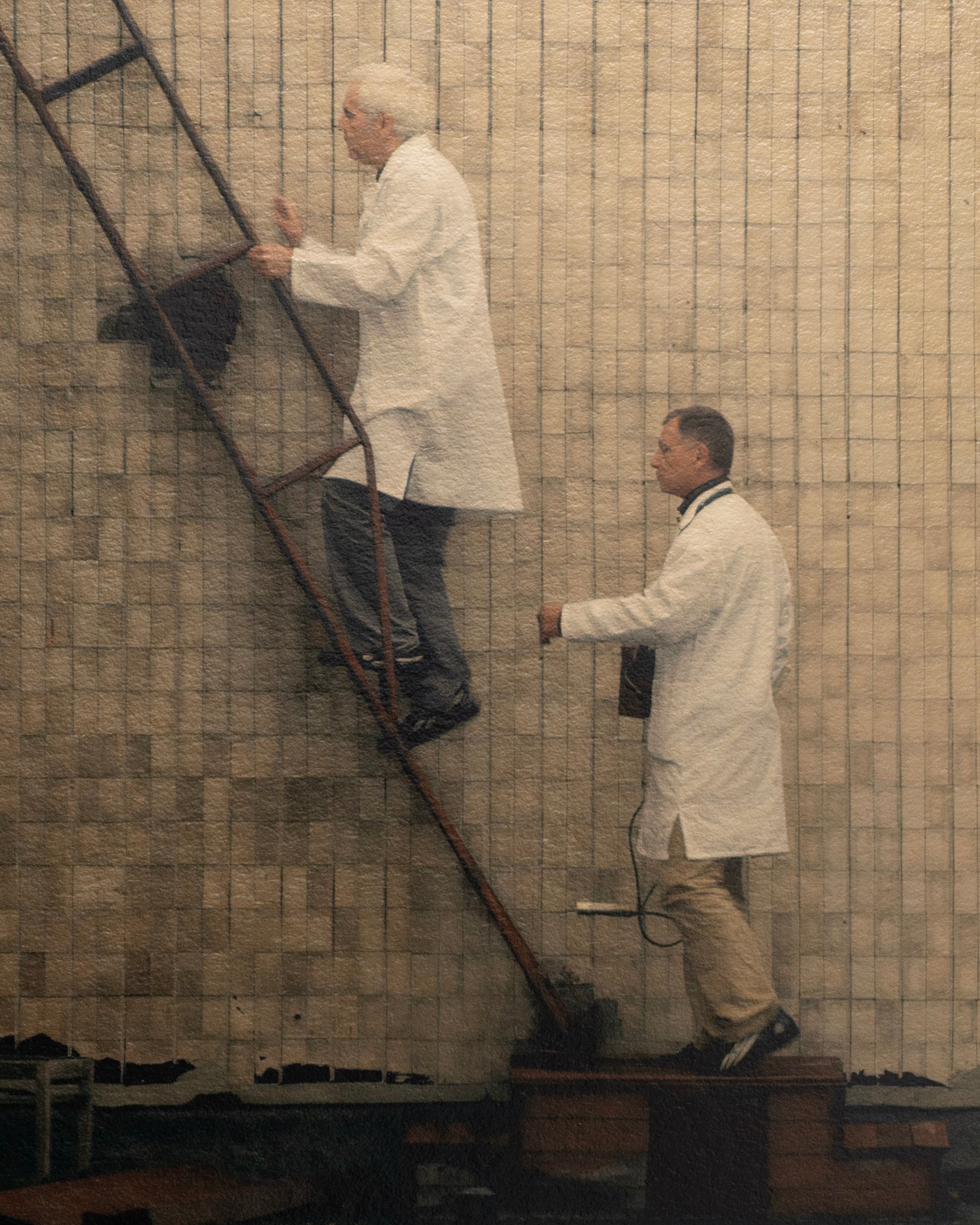 The Toxic Camera 2012 (16mm Film Stills)