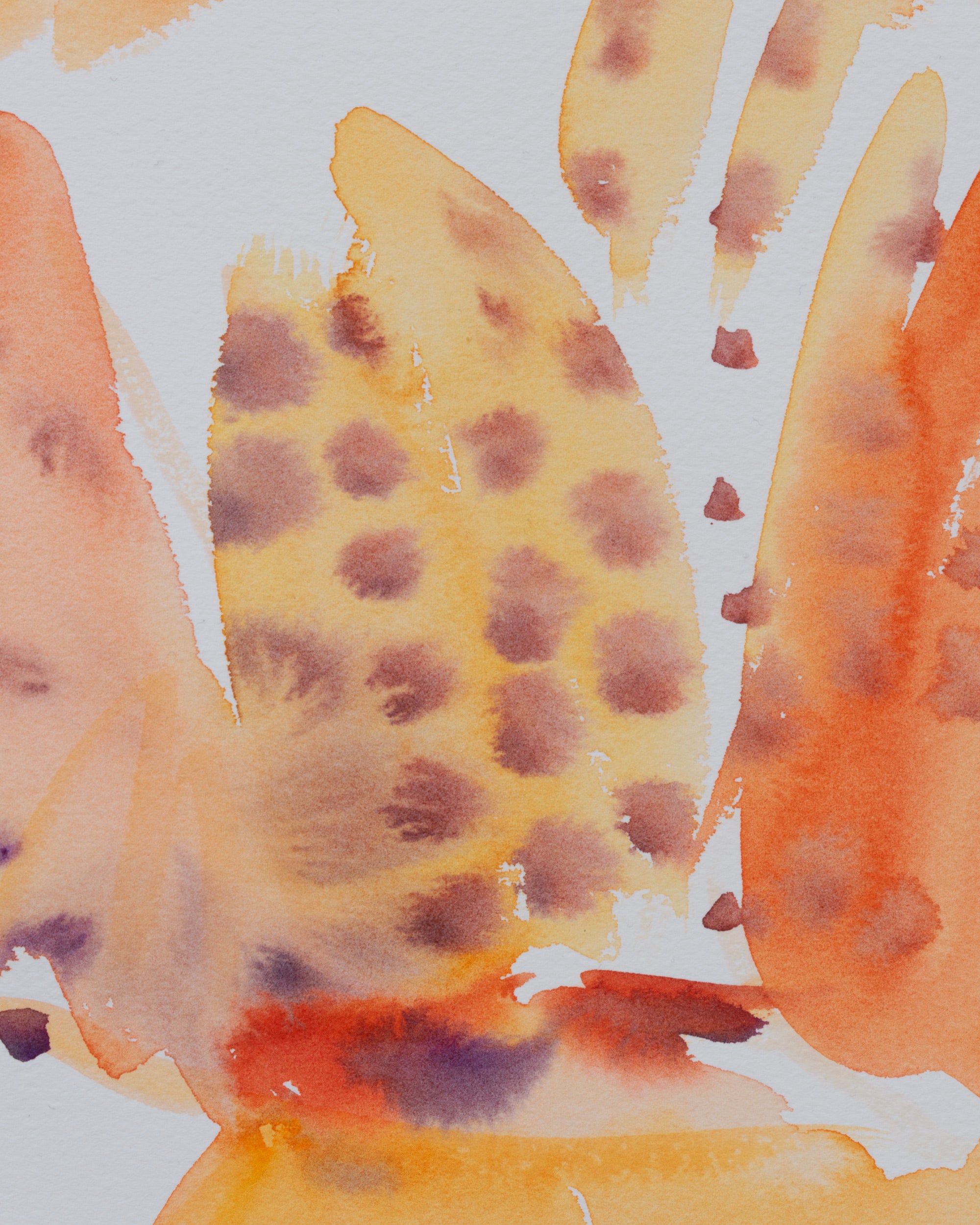 Study for Studded Jacket