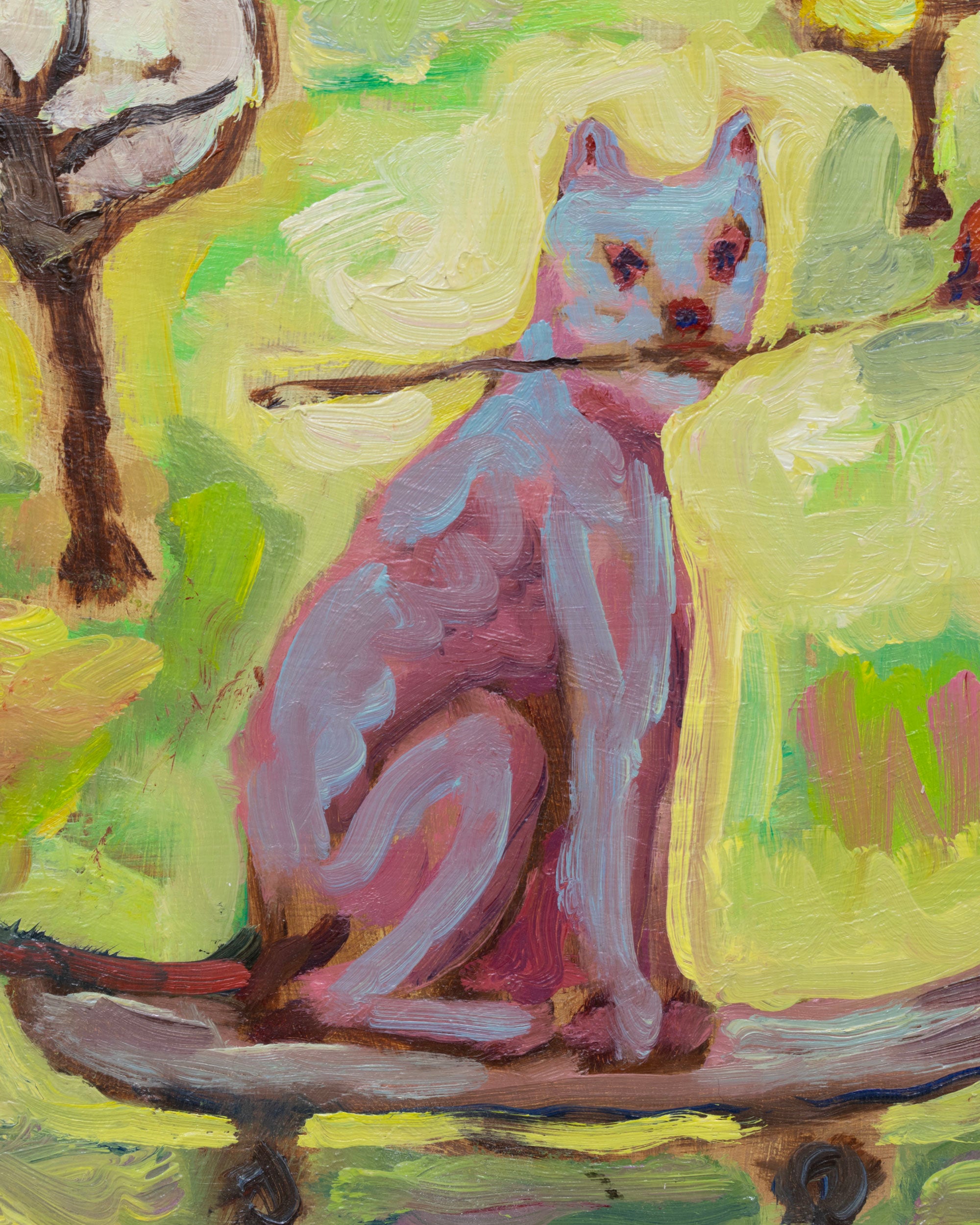 Skating Cat, Slugtown Cap